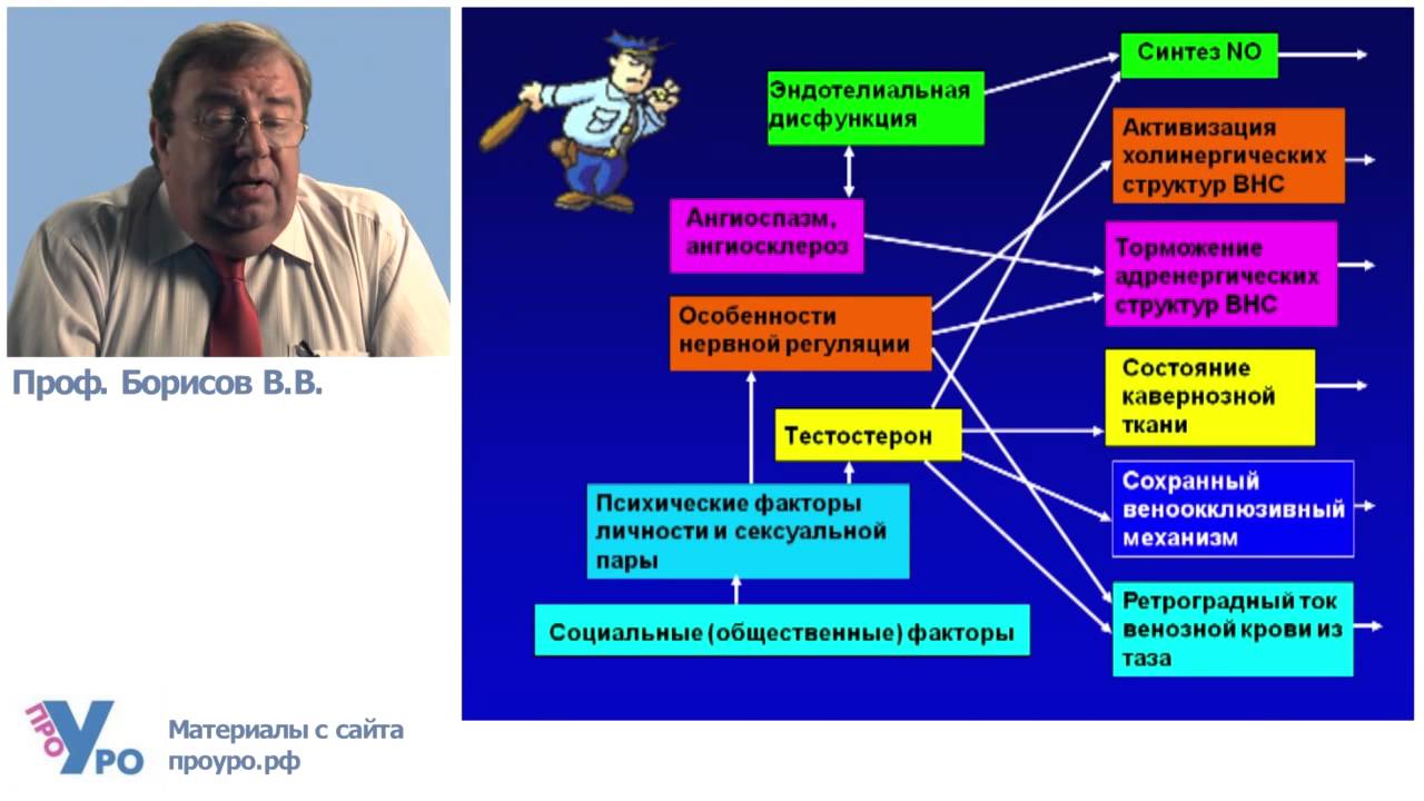 Превью видео на тему Эректильная дисфункция и расстройства эякуляции