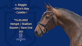 Video of Baggietto