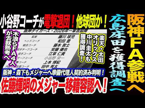 【阪神】広島床田を獲得調査へ！小谷野コーチが電撃退団！他球団移籍か！佐藤輝明のメジャー移籍容認へ！森下もメジャー準備！阪神ＦＡ参戦へ楽天・太田オリックス・中川圭太も獲得調査！阪神タイガース