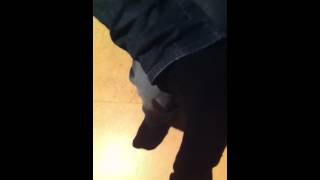 Idiot tänder eld på strumpa