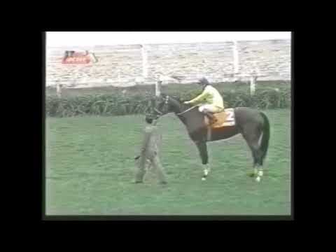 GP Diana (G1) 1998 - Riboletta