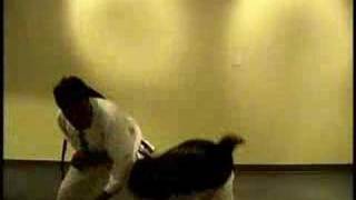 Golden Harmony Kung Fu - In The Footsteps of Shaolin