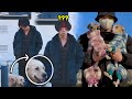 정국과 그의 동물 친구들 모음집 /BTS Jungkook with cute animals