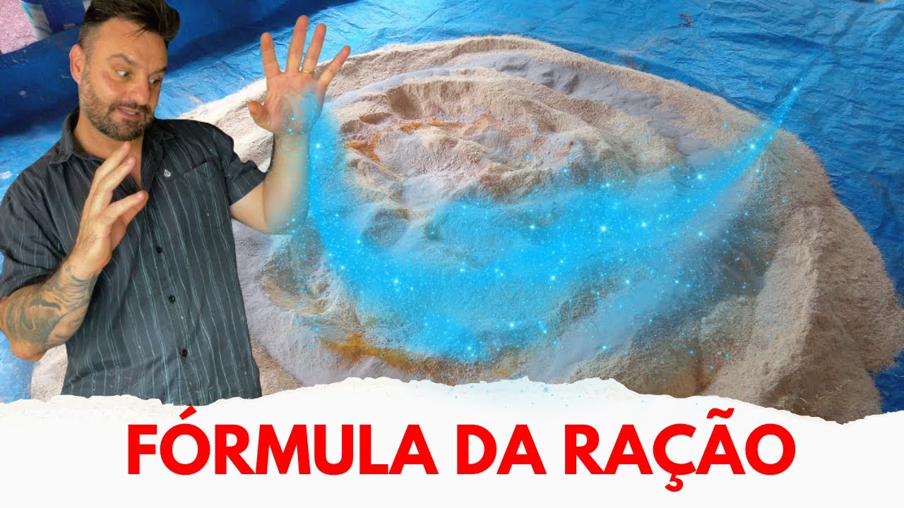 FÓRMULA de RAÇÃO para galinhas poedeiras: CUIDADO