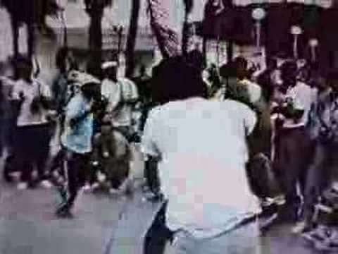 mestre acordeon and Cobra Mansa part 1 around 1990