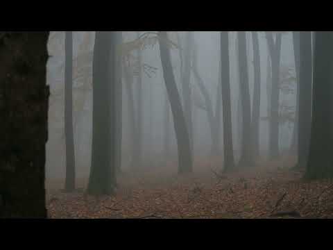 Ein Männlein steht im Walde