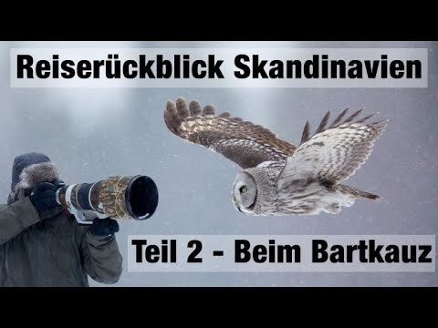 Bartkauz - Rückblick Skandinavien mit Fabian