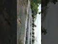 Natural Revenge ️ Revenge Whatsapp Status Tamil
