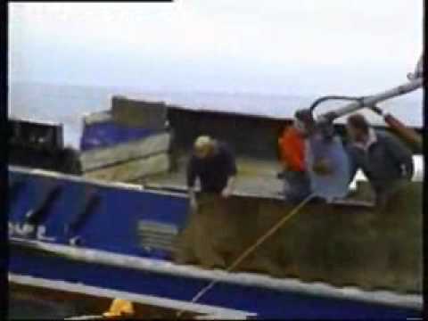 Commercial LifeSling