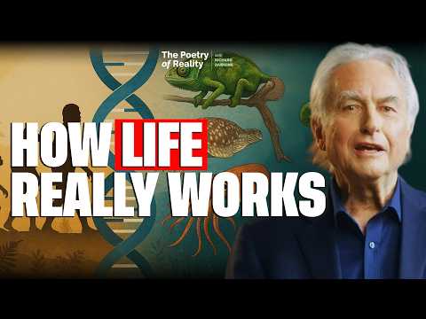 “The greatest idea anyone ever had”