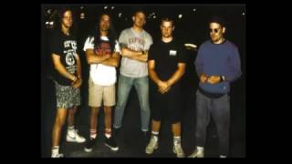 Slapshot - Chameleon