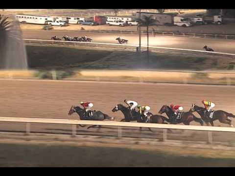 XV Gran Premio Longines