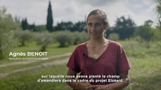 Projet Elzeard Amandes