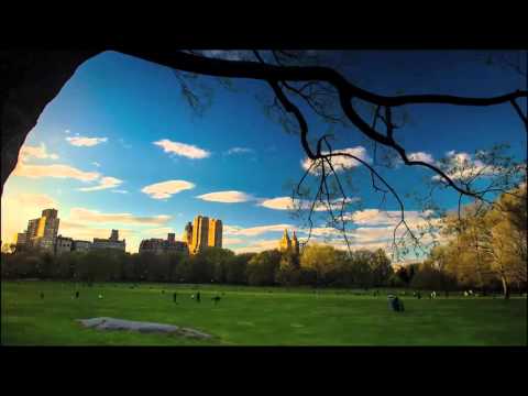 ETTA MATTERS & TROLEC Feat. Nathan Brumley - By Your Side (Official Lyric Video)