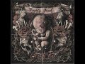 GRANDE FOX Empty Nest FULL ALBUM 2021 LYRICS IN PINNED COMMENT