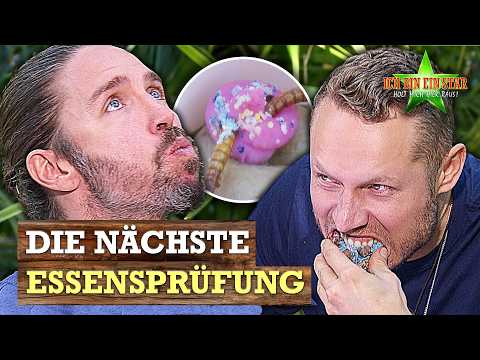 Gil & Patrick essen FAST alles! 🤮 Dschungelprüfung an Tag 14! 😳 | Dschungelcamp 2026