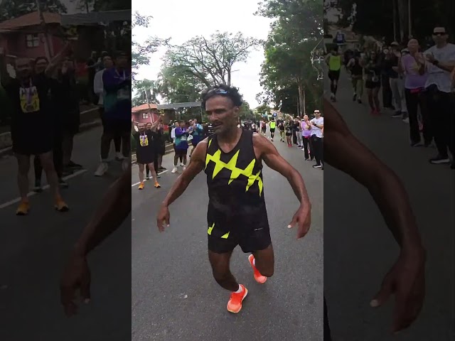 Maratona regressiva #maniadecorrida #maratonadesaopaulo2025 #olympikusnamaratonasp