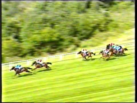 1999 - Goodwood - Goodwood Cup - Kayf Tara