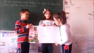A poster about amphibians