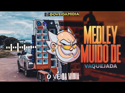 MEDLEY MUÍDO DE VAQUEJADA HIT 2025 FORROZINHO - FELIPE AMORIM, TALITA MEL E DJ JEFF DE PL