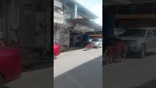 Download lagu Malaysia work #sad #song mp3 Download lagu Malaysia work #sad #song mp3