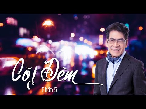 Truyện dài hay nhất - Cõi Đêm (Phần 5) Nguyễn Ngọc Ngạn & Hồng Đào | Thúy Nga Paris - Audiobook 27