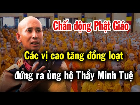 Cực sốc, các vị cao tăng trong Giáo Hội Phật Giáo đồng loạt đứng ra bênh vực Thầy Minh Tuệ