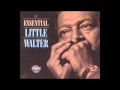 Little Walter - Fast Large One