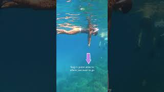 Learn to duckdive - freediving tutorial