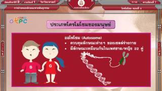 สื่อการเรียนการสอน โครโมโซม ตอนที่ 2 ม.3 วิทยาศาสตร์