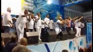 APRESENTAÇÃO SAMBA 13 BEIJA-FLOR 2015 07.08