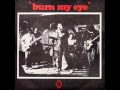 Radio Birdman- Smith & Wesson Blues