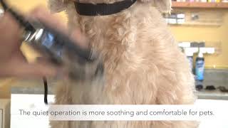 Andis EasyClip Whisperâ„¢ Adjustable Blade Clipper, 23585