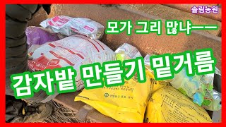 모가그리 많이 들어가냐 ㅠㅠ 감자밭 만들기 밑거름~감자심는 시기 방법