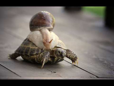 Машина времени 26.02