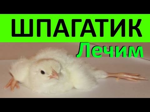 Боли внизу живота слева отдает в поясницу у женщин причины Распространенный грубый остеохондроз