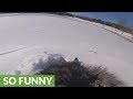 GoPro On Dog S Back Captures Excitement Of Snowy Fun