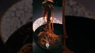 YouTube video 7