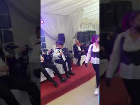 Nuntă Cristian și Oana :Orchestră : Nicoleta și Marian Dârnu