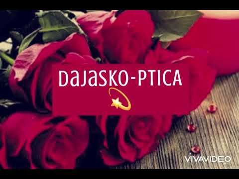 dajasko ptica zbrisan komad