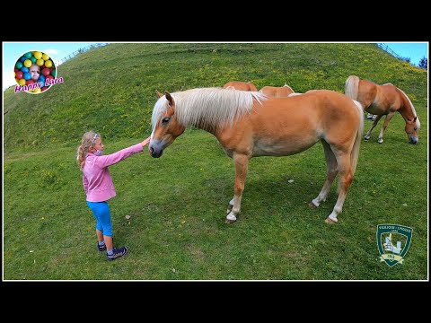 Happy Lara -  Monte San Vigilio - Gampl Alm