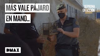 Thumbnail del capítulo