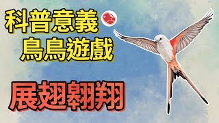 [心得] 鳥鳥遊戲《展翅翱翔》PC桌遊遊戲介紹