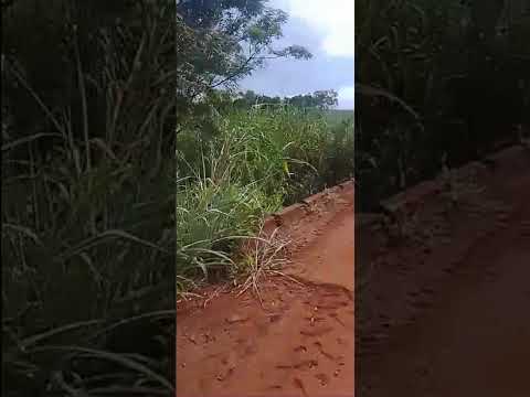 Rio condor Ourizona paraná brasil