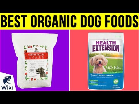download lagu mp3 mp4 What Is Organic Dog Food, download lagu What Is Organic Dog Food gratis, unduh video klip What Is Organic Dog Food