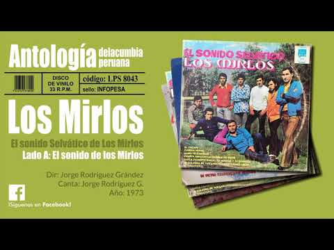 Video thumbnail for El Sonido de Los Mirlos
