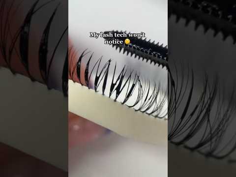 Mascara on lash extensions? 🫣 #lashextensions #lashes #makeup #makeuptutorial #lashtechtips