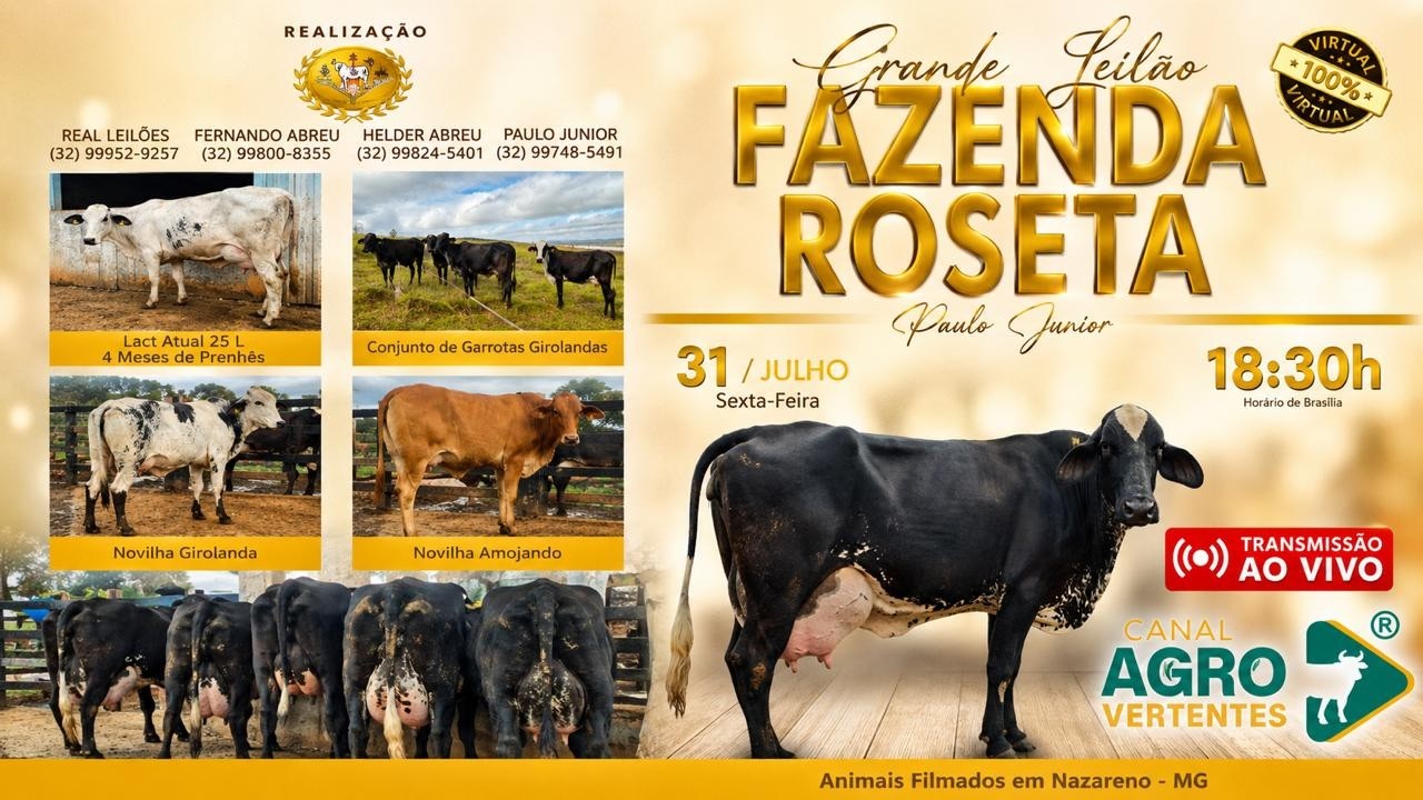 GRANDE LEILÃO FAZENDA ROSETA - PAULO JÚNIOR - NAZARENO/MG - 31/07/2026