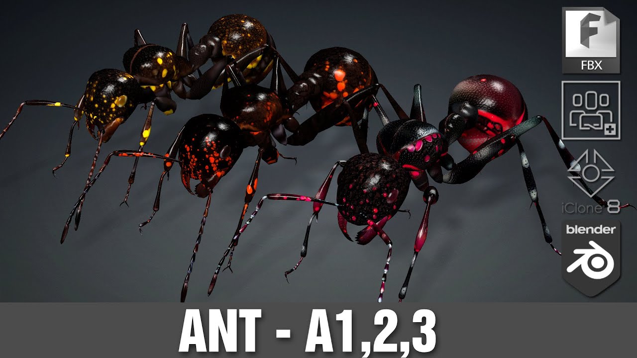 Ant-A2 Modelo 3D