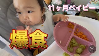 【オーストラリア育児🇦🇺】11ヶ月娘、ひたすら食べ続ける😂